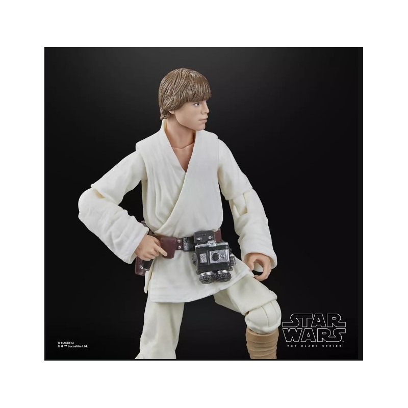 Hasbro Star Wars - Black Series - Luke Skywalker (A New Hope)